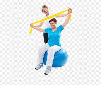 Physical Therapy In Chicagoland - S480 - Healthcare Medical Magnet