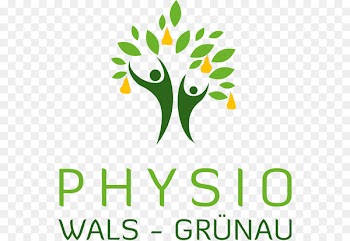 Physical therapy Wals-Siezenheim bestPhysio Sportphysiotherapie Tui na - austria ecommerce 