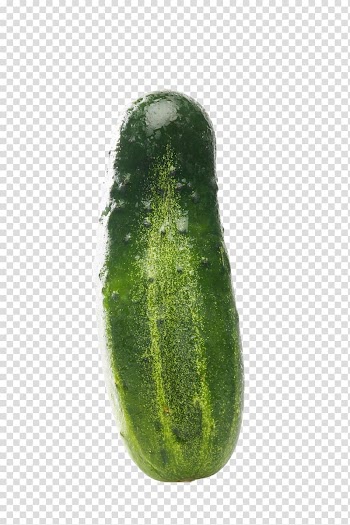 Pickled cucumber Chat line Vegetable, Cucumber transparent background PNG clipart