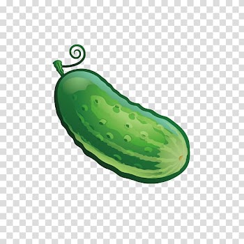 Pickled cucumber Child Vegetable Half sour pickles, Delicious cucumber transparent background PNG clipart
