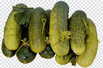 Pickled cucumber Spreewald gherkins Pickling Food, cucumber transparent background PNG clipart
