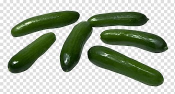 Pickled cucumber Spreewald gherkins Portable Network Graphics Cucumber sandwich, Cucumber juice transparent background PNG clipart