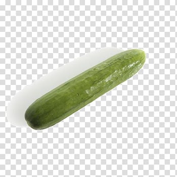 Pickled cucumber Vegetable, An autumn cucumber transparent background PNG clipart