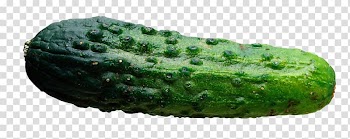 Pickled cucumber Vegetable, cucumber transparent background PNG clipart