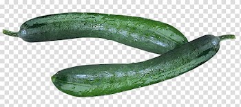 Pickled cucumber Vegetable, cucumber transparent background PNG clipart