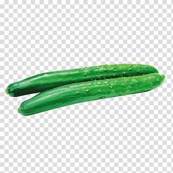 Pickled cucumber Vegetable, Vegetable cucumber transparent background PNG clipart