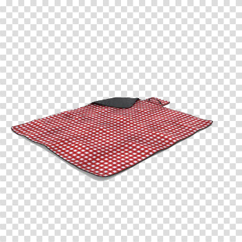 Picnic Transparent Images