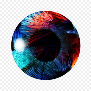 PicsArt Photo Studio Color Eye Light - Eye 