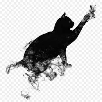 PicsArt Photo Studio Editing Clip art - others 