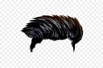 Picsart Photo Studio, Hairstyle, Editing, Feather, Black Hair PNG