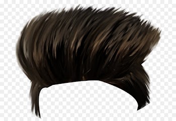 PicsArt Photo Studio Hairstyle Editing - hair 