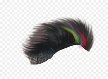 PicsArt Photo Studio Hairstyle Editing - hair style 