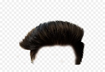 PicsArt Photo Studio Hairstyle Portable Network Graphics Image - hair 