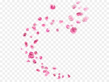 PicsArt Photo Studio Heart Editing Flower - floating 