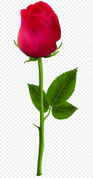 PicsArt Photo Studio Image editing Clip art - Red Rose PNG Clip Art Image 
