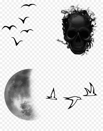 PicsArt Photo Studio Paint with stickers Decal Empty - others 