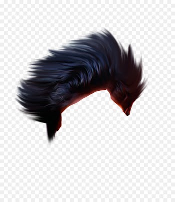 PicsArt Photo Studio Portable Network Graphics Hairstyle Image - hair 