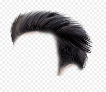 PicsArt Photo Studio Portable Network Graphics Image Desktop Wallpaper Hairstyle - hair 