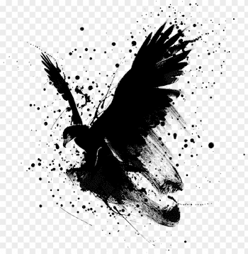 picsart splash effect PNG image with transparent background | TOPpng