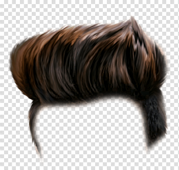 Picsart Transparent Background PNG