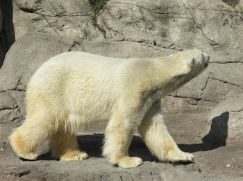 PICT0235.JPG