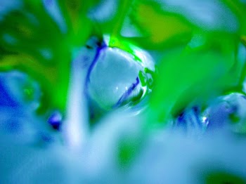 PICT1899 changed to green more blue.jpg