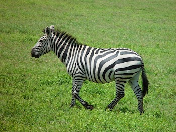 Picture_115.jpg