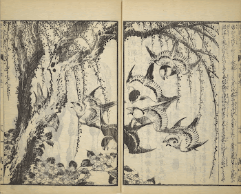 Picture Book of The Tōshisen | Free Photo - rawpixel