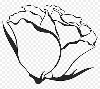 Picture Download Bicep Drawing Side View - Rose Drawing Side View