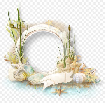 Picture frame Clip art - Conch flowers decorative ring 