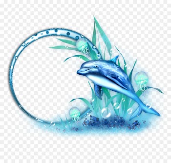 Picture frame Photography Decoupage Ornament - dolphin 