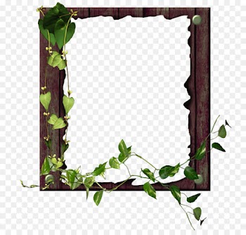 Picture Frames, Allah, Fasting In Islam, Green, Picture Frame PNG