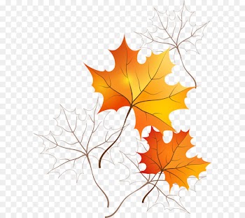 Picture Frames Autumn leaf color Desktop Wallpaper - autumn 