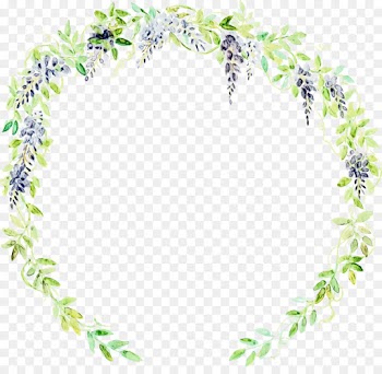Picture Frames, Body Jewellery, Leaf, Lei, Plant PNG