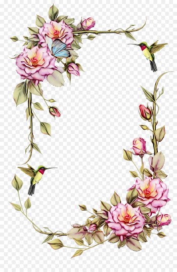 Picture Frames, Flower Frame, Flower, Plant PNG