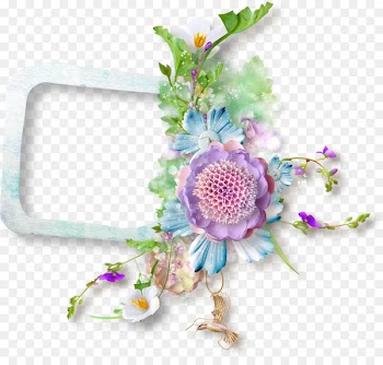 Picture Frames, Flower, Photography, Plant PNG