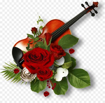 Picture Frames Garden roses - cello 