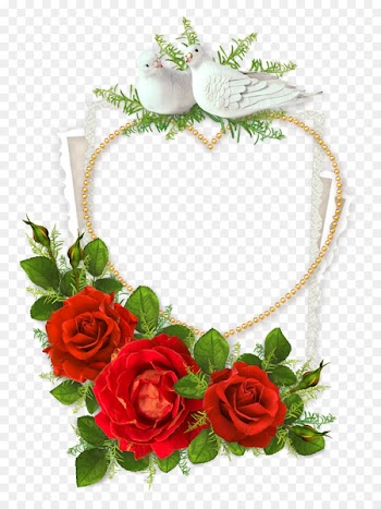 Picture Frames Morning Quotation Photography Heart - red rose decorative 