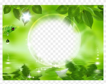 Picture Frames Photography Blog - Green Leaf