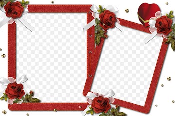 Picture Frames Photography Clip art - Romantic Floral Photo Frame Png 