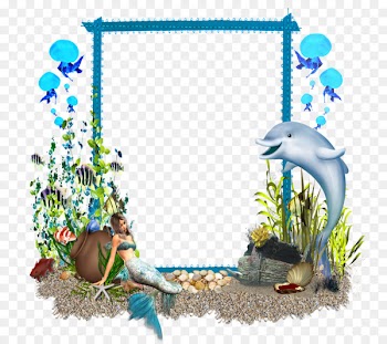 Picture Frames, Photography, Drawing, Picture Frame PNG