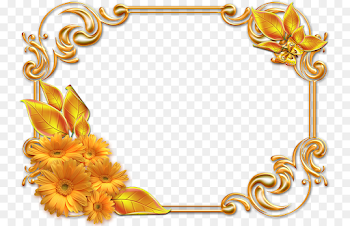 Picture Frames Photography - invitation frame png download - 800*580 ...