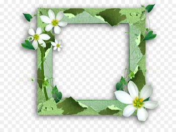 Picture Frames Photography Portable Network Graphics Image Paper - frame green 