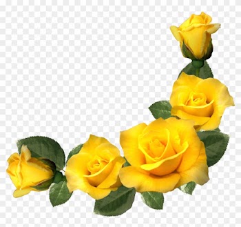 Picture Frames Yellow Rose Flower Clip Art - Yellow Rose Transparent Background