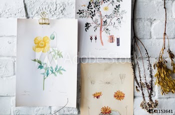 Picture go hand drawing flowers collection in a frame