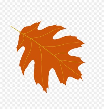 Picture Of Oak Leaves Clipartsco, Yellow Oak Leaf Clip - Oak