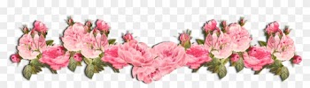Picture - Pink Flowers Clip Art Border