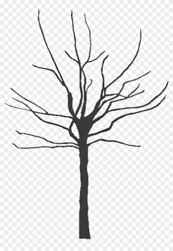 Pictures Of Bare Trees Clipart - Bare Clipart Tree