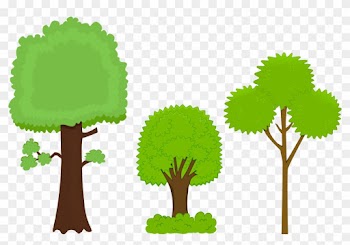 Pictures Of Cartoon Trees - Three Different Trees