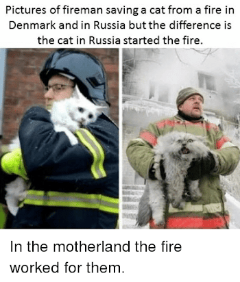 Pictures of Fireman Saving a Cat From a Fire in Denmark and in ...